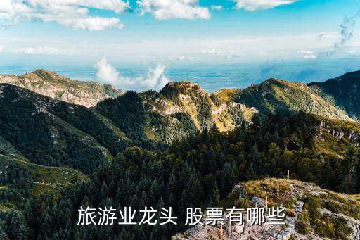 旅游板塊股票一覽表,中國(guó)十大旅游龍頭股...